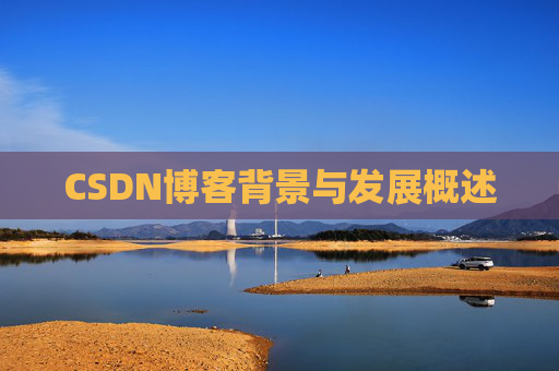 CSDN博客背景与发展概述