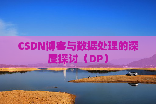 CSDN博客与数据处理的深度探讨（DP）