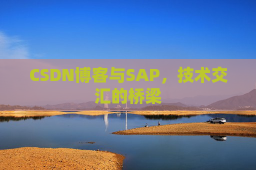 CSDN博客与SAP，技术交汇的桥梁