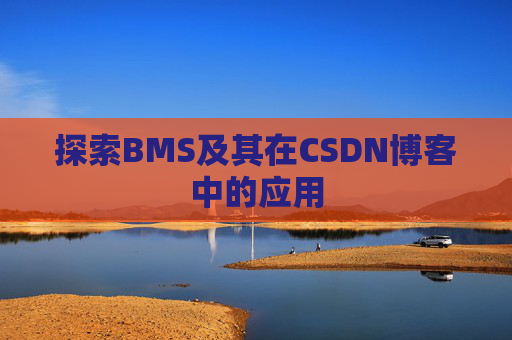 探索BMS及其在CSDN博客中的应用